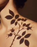 Close-up of a neck and shoulder in warm light with the shadow of a leafy branch.